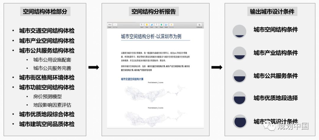 仁果类水果 第110页