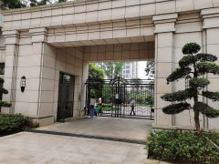仁果类水果 第98页