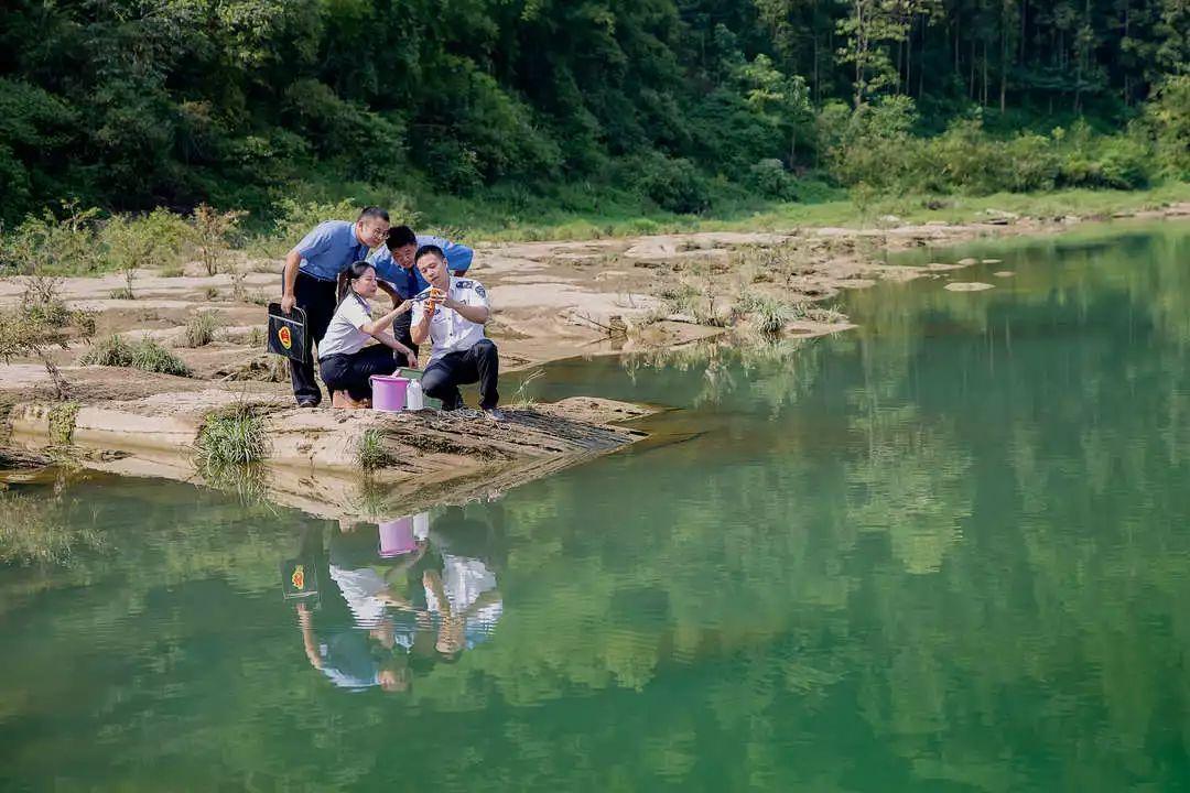 中国水产网行情探索，自然美景之旅与内心平静的追寻