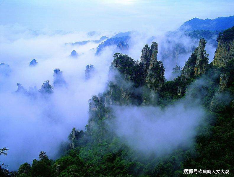 销售茶叶 第70页